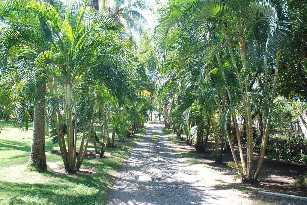 Hotel Beso del Viento (Adults Only) Parrita Exterior foto